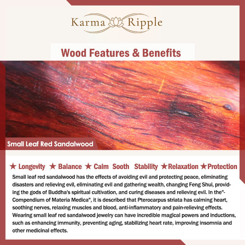 KarmaRipple's 999 Sterling Silver Sandalwood Ebony Wood Small Leaf Red Sandalwood Hetian Jade Cinnabar PiXiu Wealth Bracelet p13