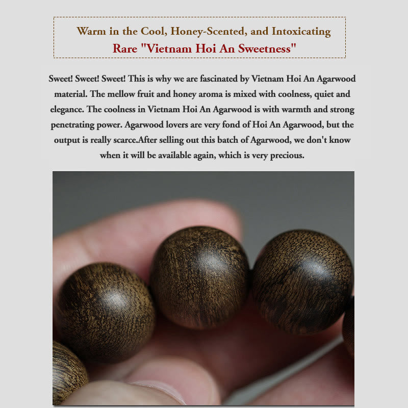 KarmaRipple's Nine Points Sinking Water Vietnam Hoi An Agarwood Peace Strength Bracelet p10