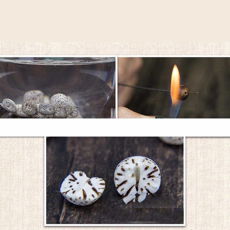 KarmaRipple's 108 Mala Beadwork Bodhi Seed Yak Bone Avalokitesvara Fortunate Pixiu Guan Gong Buddha Demon Peace Tassel Bracelet p13